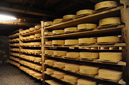 Vacherin fribourgeois AOC aux anciennes caves de la Tzintre